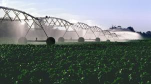 PivotIrrigationOnCotton